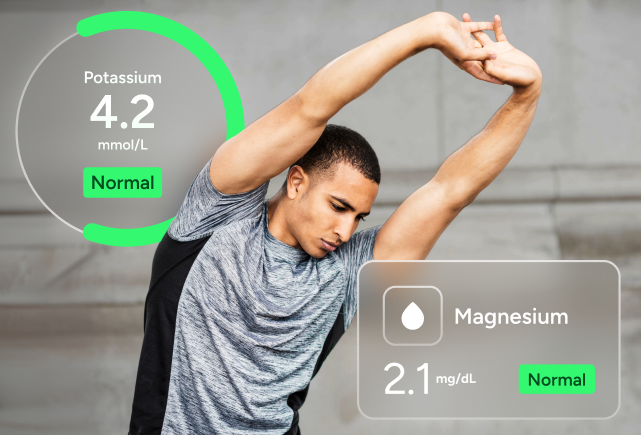 Electrolyte Test Panel number 2