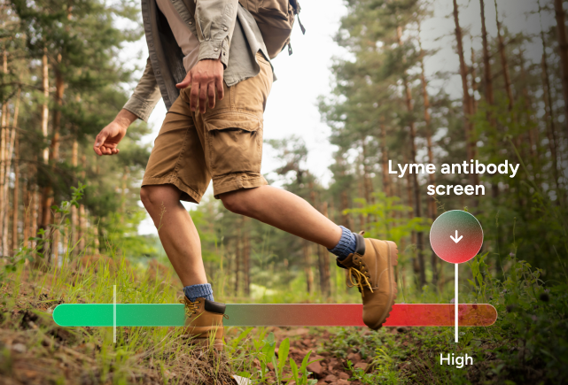 Lyme Disease Test with Confirmation number 2