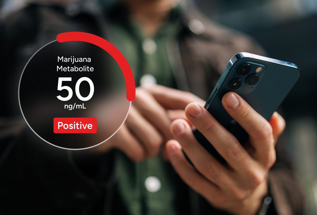 Marijuana Drug Screening Test number 2