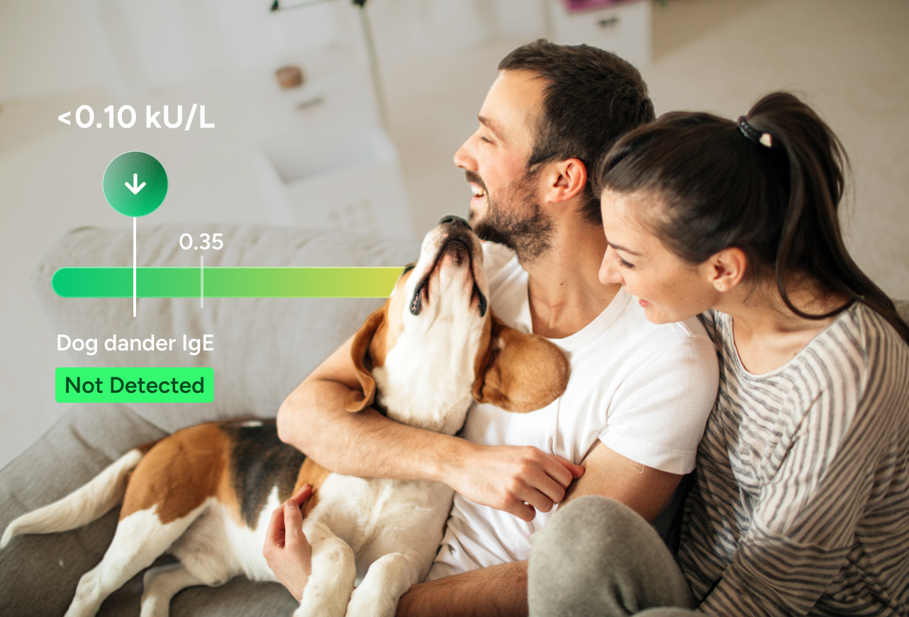 Dog Allergy Test with Reflex to Components number 2
