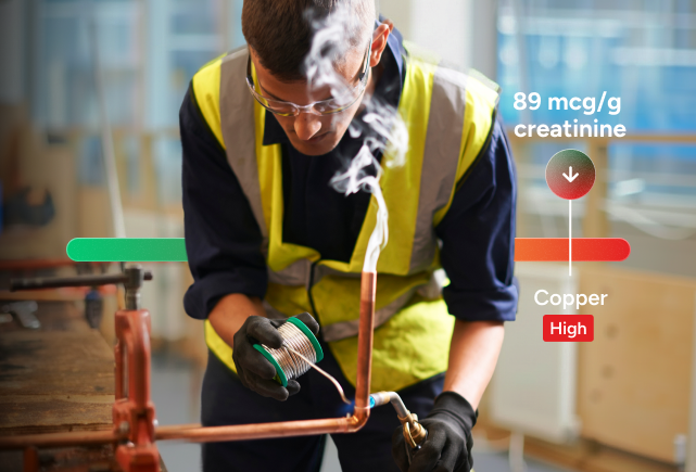 Copper Test number 2